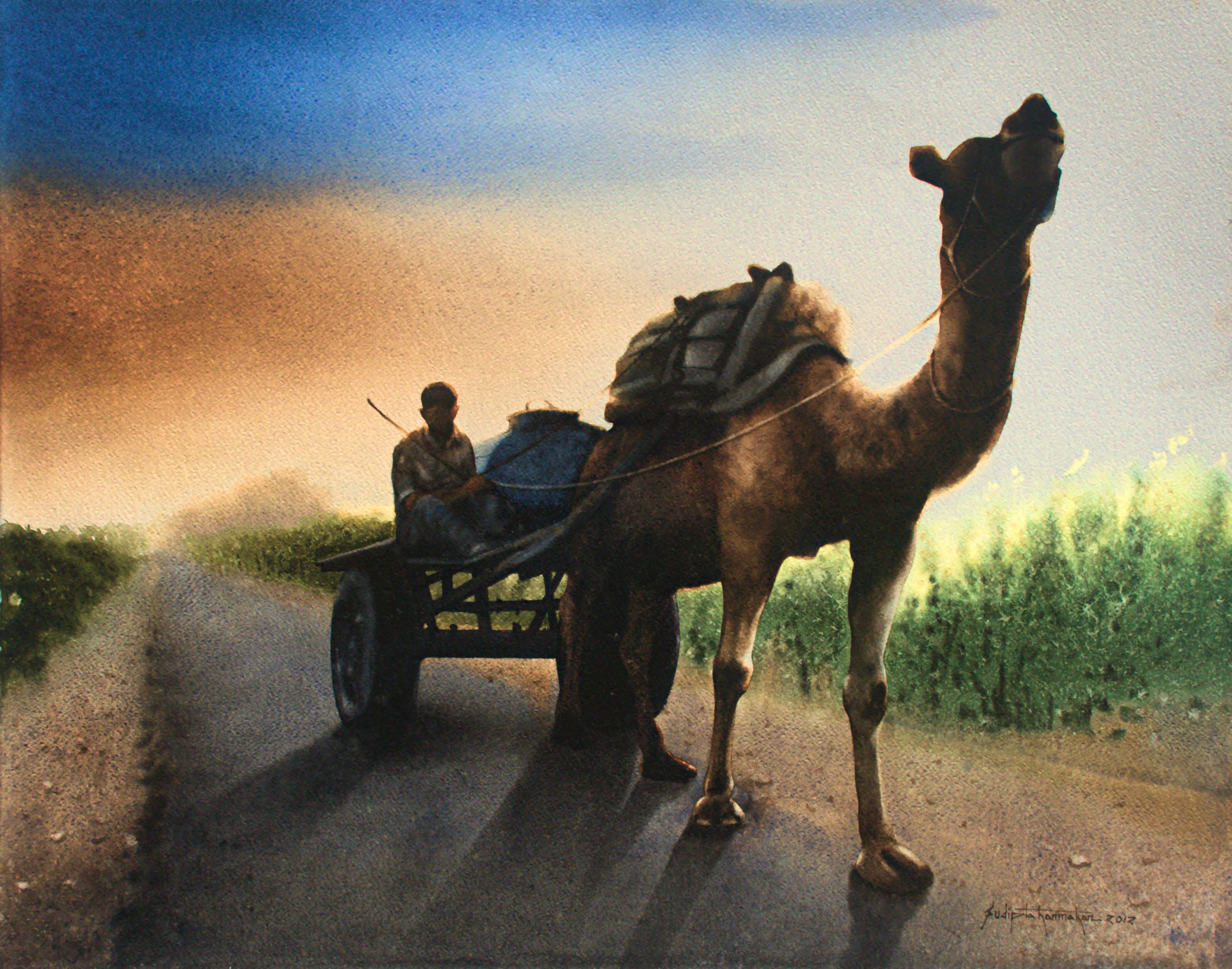 The camel rider