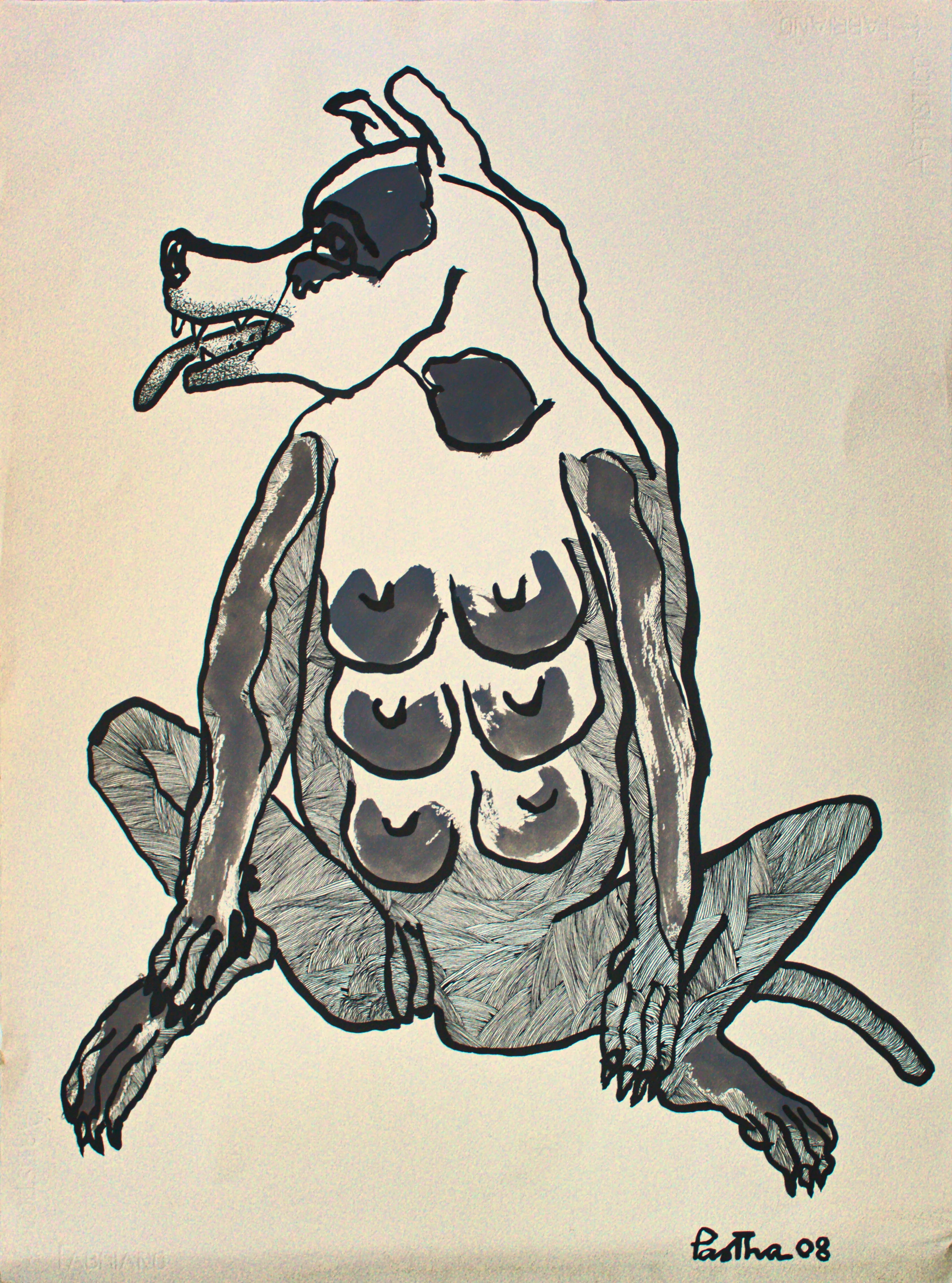 Dog -2