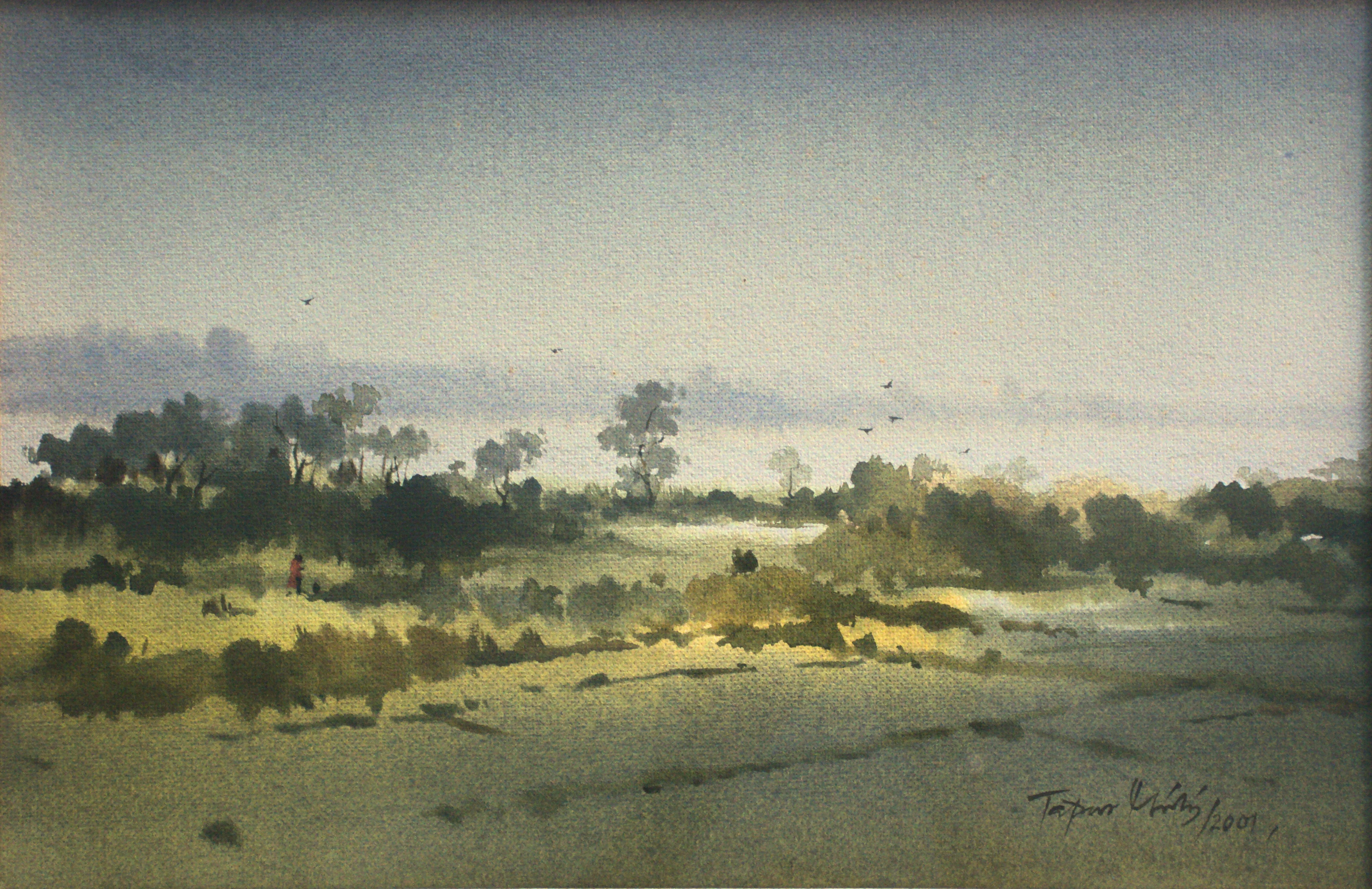 Landscape - 5